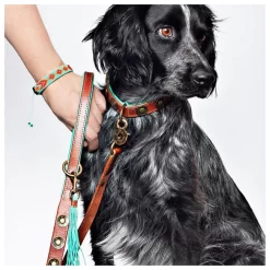 Dwam Ledere Looplijn Joe Bruin&Turquoise - Hondenriem -Dierbenodigdheden-Honden 4363 M 340674 2