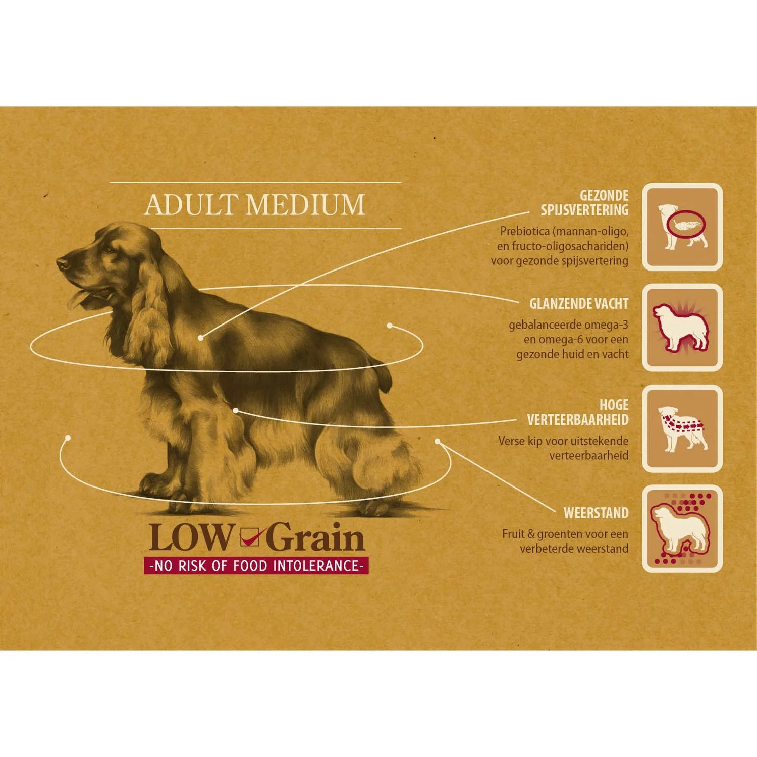 Sam's Field Adult Medium Kip&Aardappel - Hondenvoer 2 Sam's Field Adult Medium Kip&Aardappel - Hondenvoer - Afbeelding 2