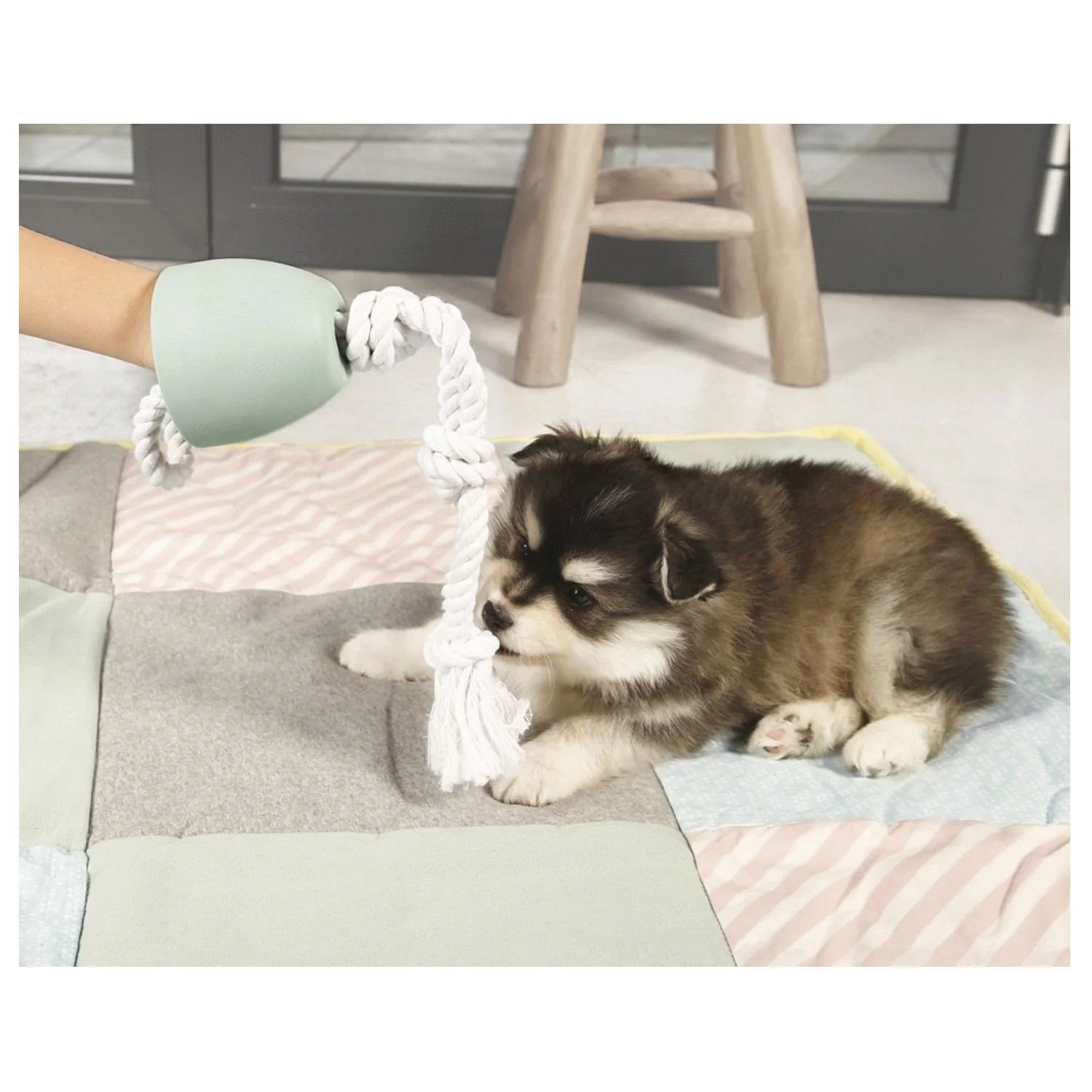 Beeztees Puppy Touwtrekker Pullina - Hondenspeelgoed - 50x10x10 Cm Groen 2 Beeztees Puppy Touwtrekker Pullina - Hondenspeelgoed - 50x10x10 Cm Groen - Afbeelding 2