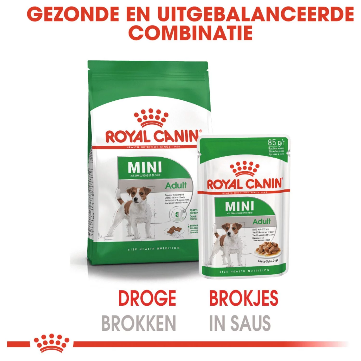 Royal Canin Mini Adult Natvoer - Hondenvoer - 12x85 G 5 Royal Canin Mini Adult Natvoer - Hondenvoer - 12x85 G - Afbeelding 5