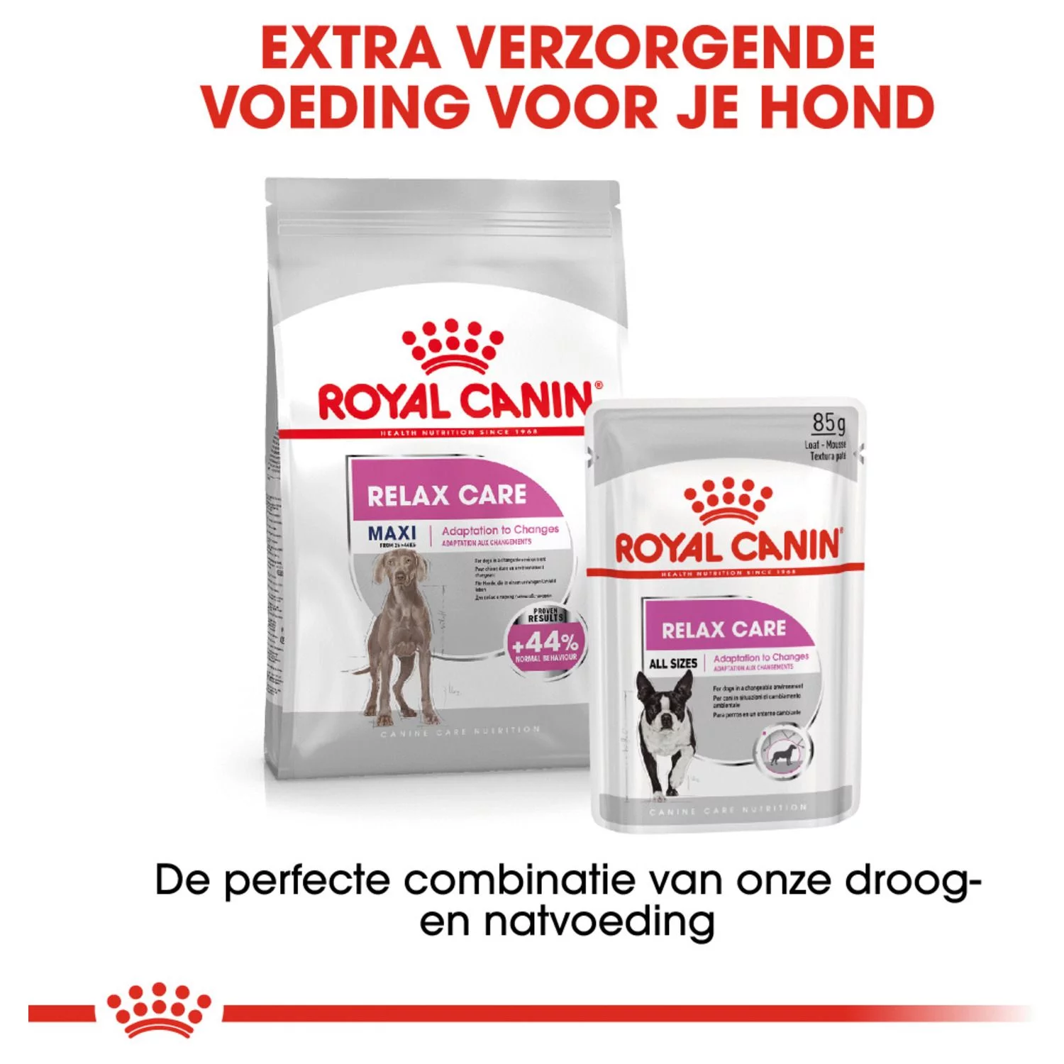 Royal Canin Relax Care Maxi - Hondenvoer 5 Royal Canin Relax Care Maxi - Hondenvoer - Afbeelding 5