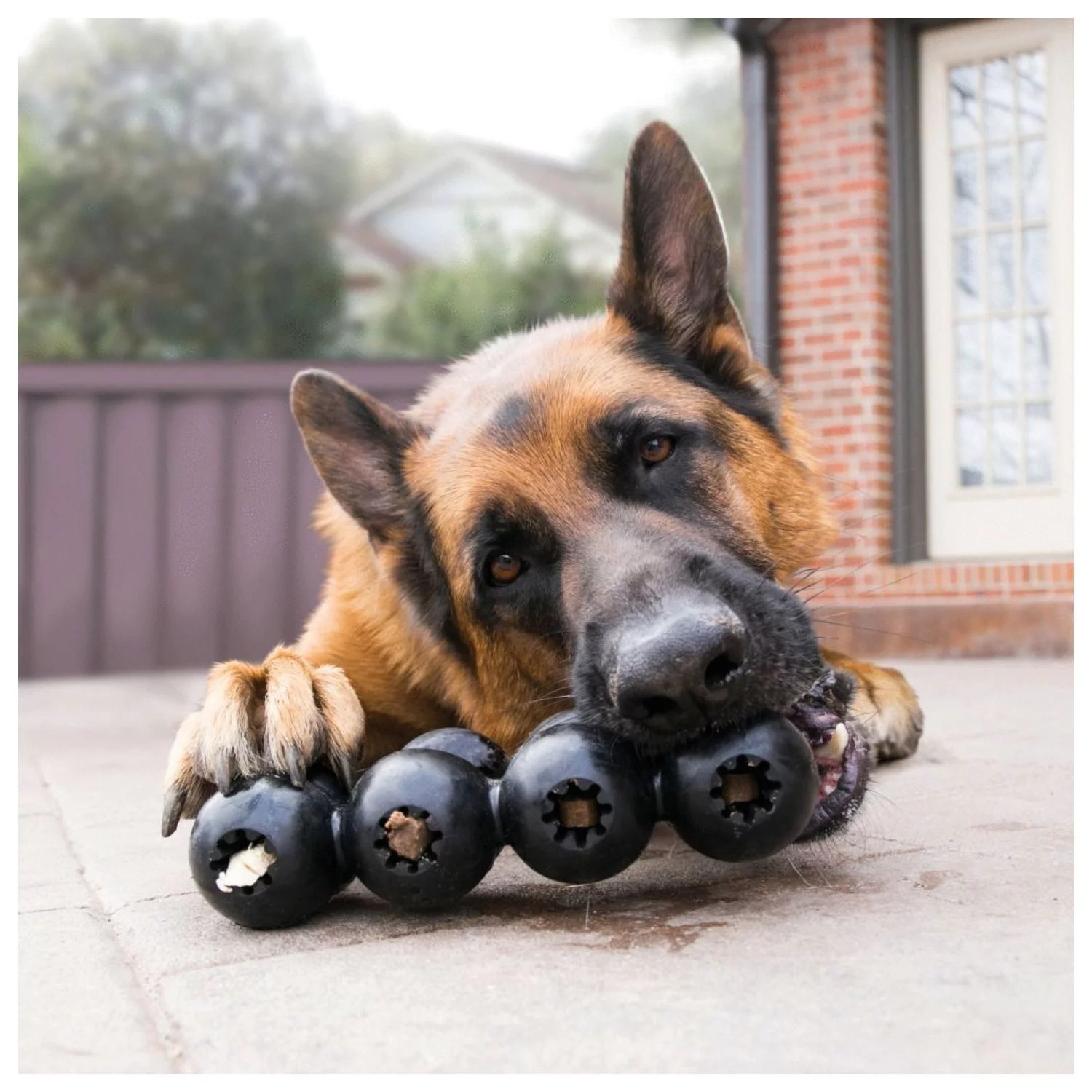 Kong Extreme Goodie Ribbon Zwart - Hondenspeelgoed 2 Kong Extreme Goodie Ribbon Zwart - Hondenspeelgoed - Afbeelding 2