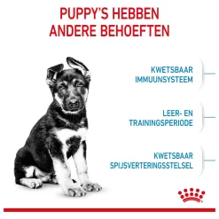 Royal Canin Maxi - Puppy-Hondenvoer -Dierbenodigdheden-Honden 4556 M 120609 3