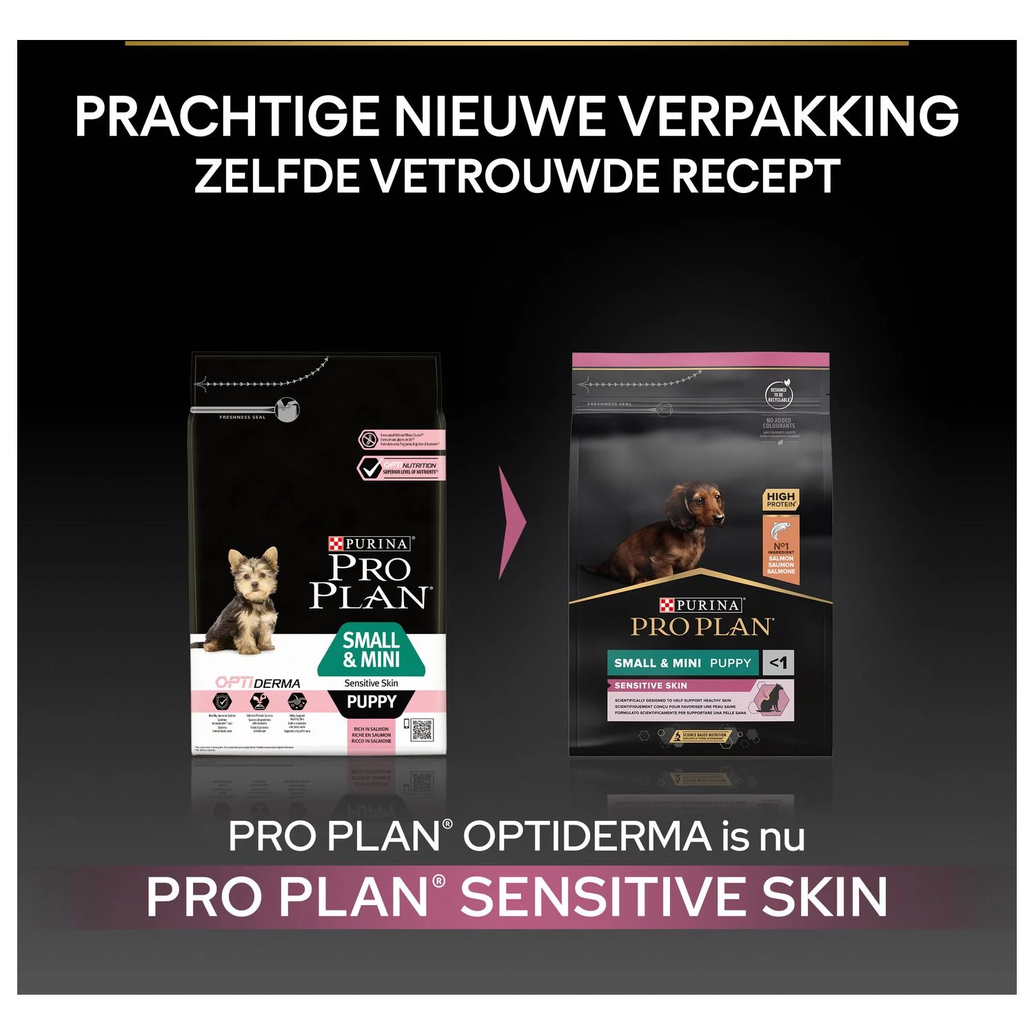 Pro Plan Dog Puppy Small & Mini Breed Sensitive Skin - Hondenvoer - Zalm 3 Kg 2 Pro Plan Dog Puppy Small & Mini Breed Sensitive Skin - Hondenvoer - Zalm 3 Kg - Afbeelding 2