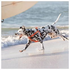 Rogz Utility Step-In Tuig Roze - Hondenharnas -Dierbenodigdheden-Honden 4713 M 10023712 2