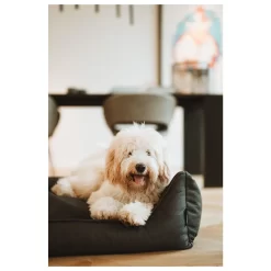 Maxxnobel Ultra Orthopedische Sofa Lederlook Zwart - Hondenbank 9 Maxxnobel Ultra Orthopedische Sofa Lederlook Zwart - Hondenbank -Dierbenodigdheden-Honden 4715 M 30025166 5