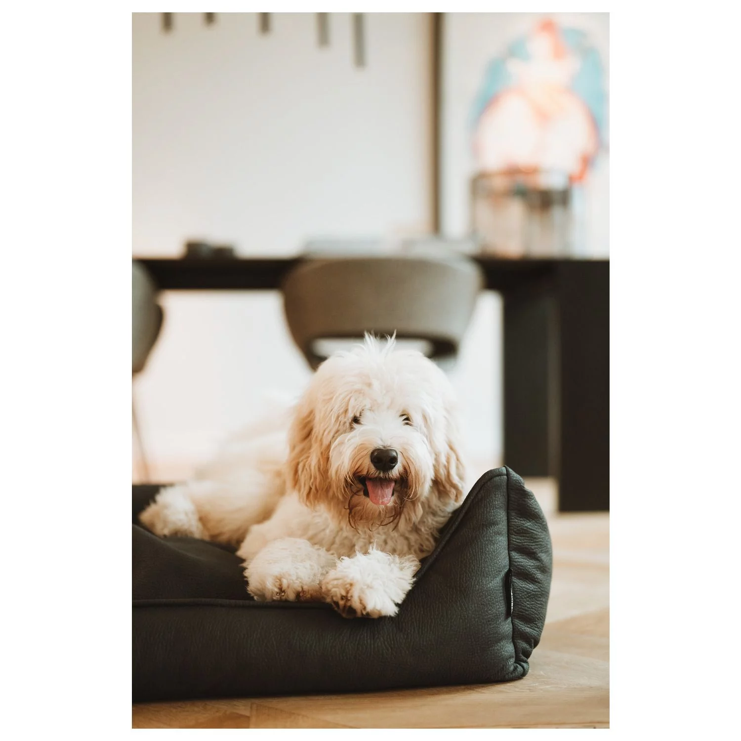 Maxxnobel Ultra Orthopedische Sofa Lederlook Zwart - Hondenbank 5 Maxxnobel Ultra Orthopedische Sofa Lederlook Zwart - Hondenbank - Afbeelding 5