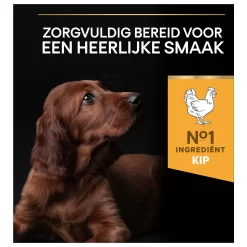 Pro Plan Dog Puppy Large Breed Athletic Kip - Hondenvoer 17 Pro Plan Dog Puppy Large Breed Athletic Kip - Hondenvoer -Dierbenodigdheden-Honden 4795 M 335014 8