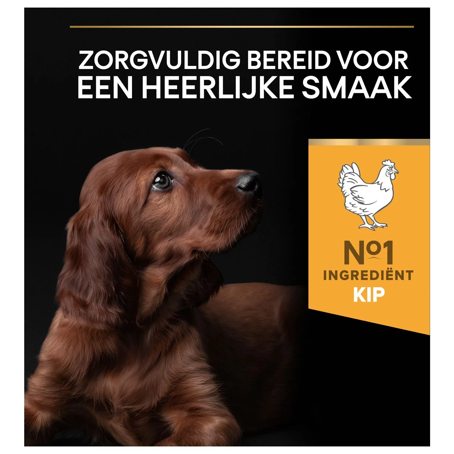 Pro Plan Dog Puppy Large Breed Athletic Kip - Hondenvoer 8 Pro Plan Dog Puppy Large Breed Athletic Kip - Hondenvoer - Afbeelding 8