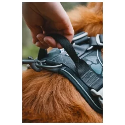 Hurtta Harnas Weekend Warrior Eco Hedge Groen - Hondenharnas -Dierbenodigdheden-Honden 4828 M 30001134 4