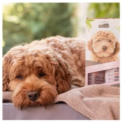 Greenfields Labradoodle Care Set - Hondenvachtverzorging - 2 X 250 Mm Roze 11 Greenfields Labradoodle Care Set - Hondenvachtverzorging - 2 X 250 Mm Roze -Dierbenodigdheden-Honden 4843 10047139 4
