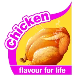 Nylabone Flexible Puppy Bone Souper - Hondenspeelgoed - Kip 19.5x5.5x3 Cm 150 G Bruin Tot 30 Kg Xlarge -Dierbenodigdheden-Honden 4859 10023621 3