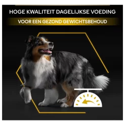 Pro Plan Dog Adult Light Kip - Hondenvoer -Dierbenodigdheden-Honden 4862 M 335047 9