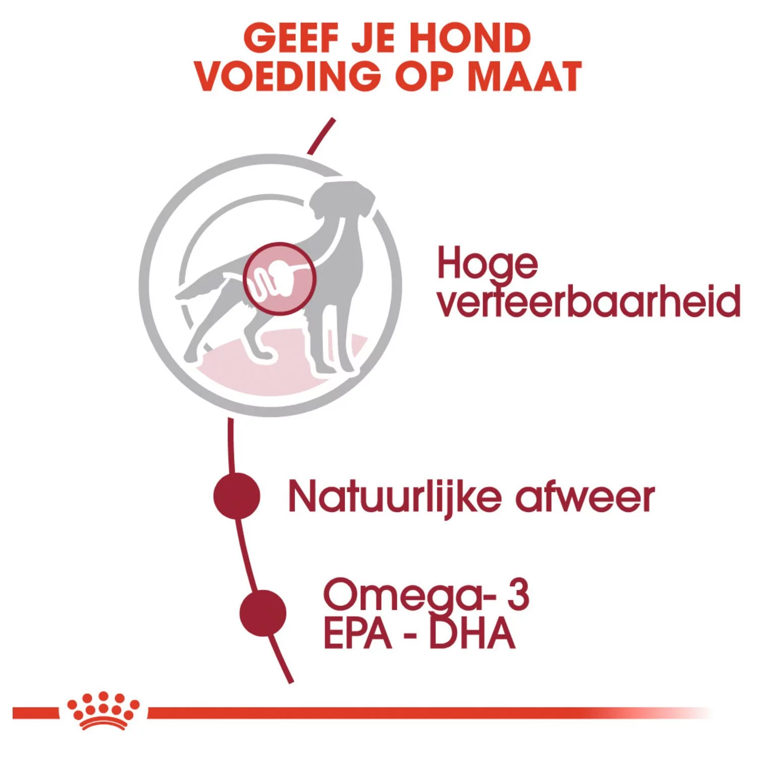 Royal Canin Medium Adult Natvoer - Hondenvoer - 10x140 G 2 Royal Canin Medium Adult Natvoer - Hondenvoer - 10x140 G - Afbeelding 2