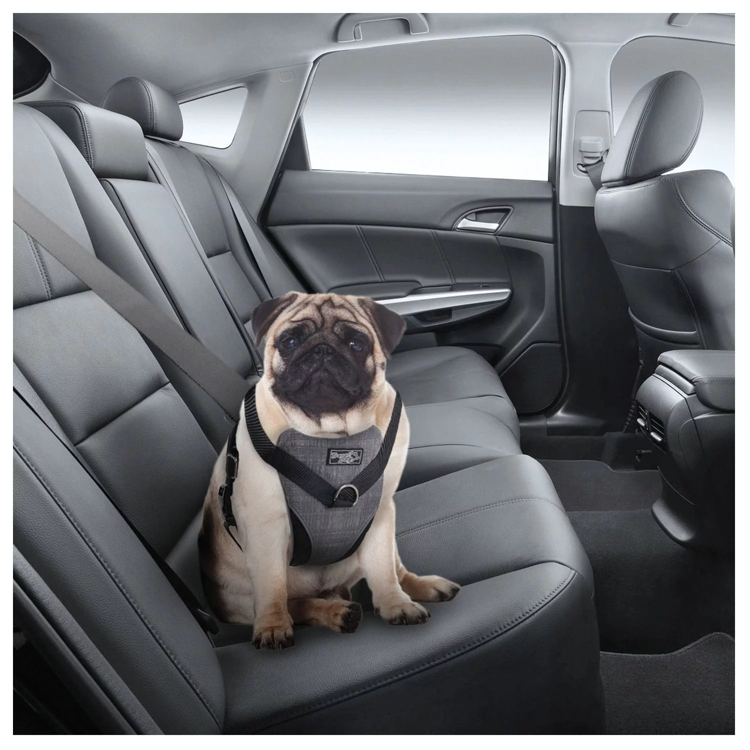 All For Paws Honden Autogordel - Hondenautoaccessoire - Nek30-50/Borst 41-56 Cm Grijs 4 All For Paws Honden Autogordel - Hondenautoaccessoire - Nek30-50/Borst 41-56 Cm Grijs - Afbeelding 4