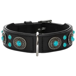 Hunter Halsband Sioux Zwart - Hondenhalsband
