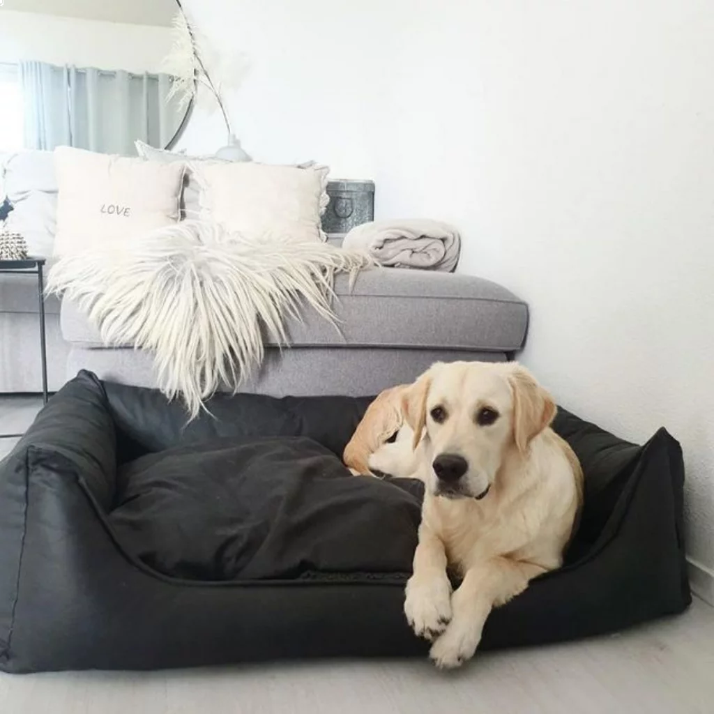 Maxxnobel Orthopedische Sofa Lederlook/Teddy Zwart - Hondenbank 10 Maxxnobel Orthopedische Sofa Lederlook/Teddy Zwart - Hondenbank - Afbeelding 10