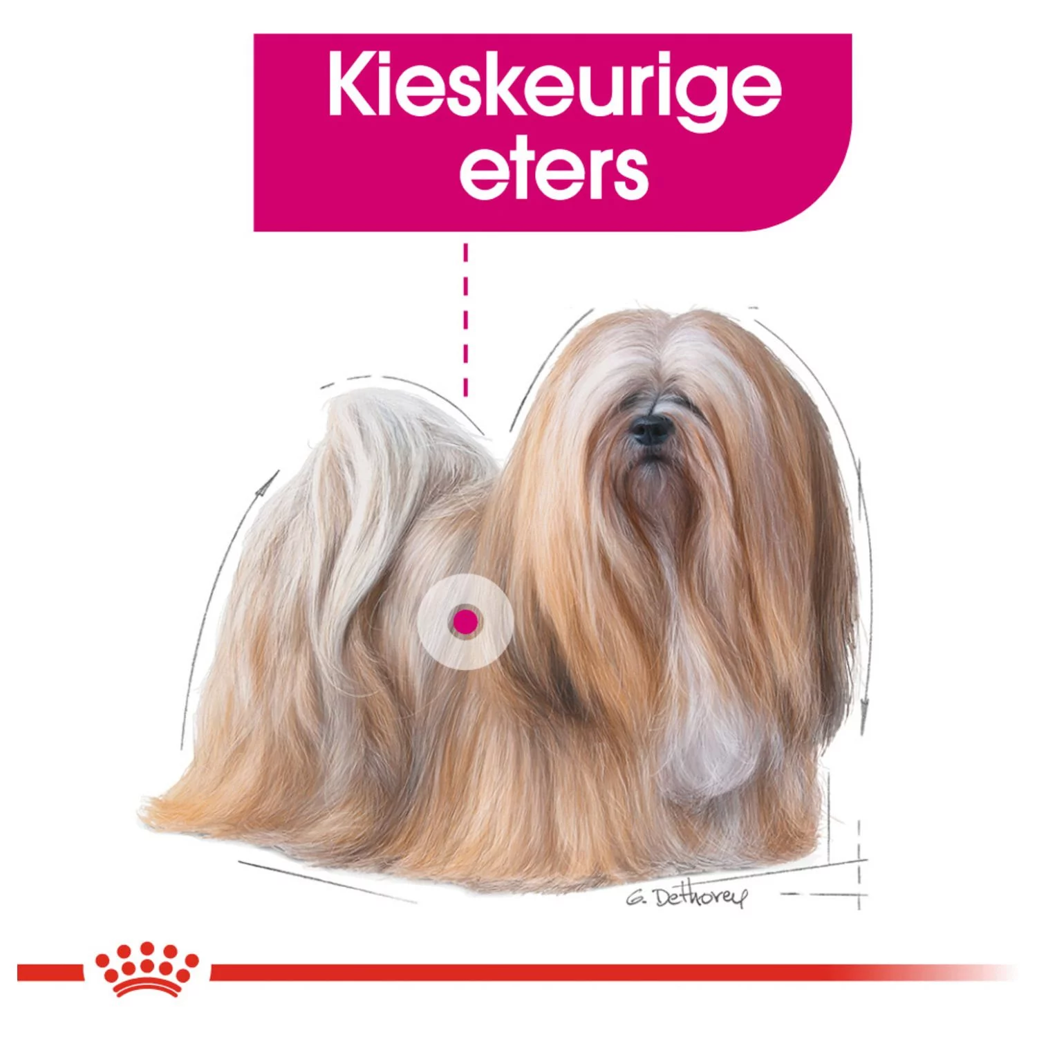 Royal Canin Exigent Natvoer - Hondenvoer - 12x85 G 2 Royal Canin Exigent Natvoer - Hondenvoer - 12x85 G - Afbeelding 2