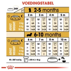 Royal Canin Dachshund - Puppy-Hondenvoer - 1.5 Kg 14 Royal Canin Dachshund - Puppy-Hondenvoer - 1.5 Kg -Dierbenodigdheden-Honden 5113 030613 7