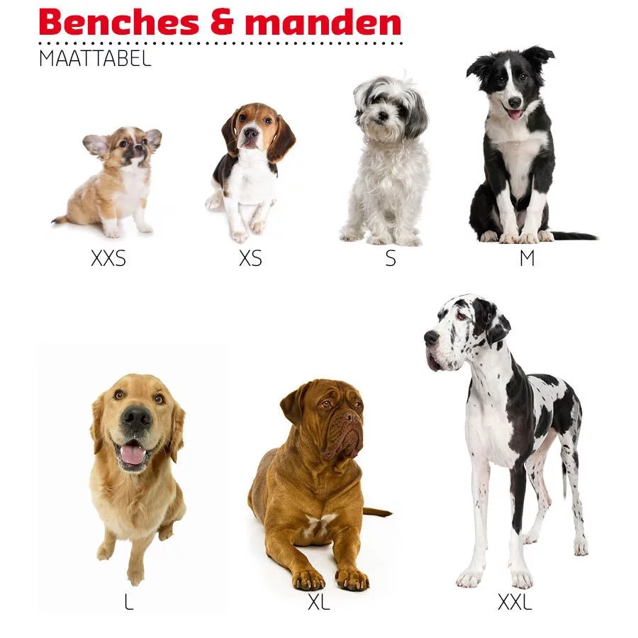 Adori Kussen Relax 45/2 Katoen Grijs - Hondenkussen 2 Adori Kussen Relax 45/2 Katoen Grijs - Hondenkussen - Afbeelding 2