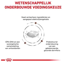 Royal Canin Veterinary Diet Gastro Intestinal Low Fat - Hondenvoer 11 Royal Canin Veterinary Diet Gastro Intestinal Low Fat - Hondenvoer -Dierbenodigdheden-Honden 5281 M 10000537 5