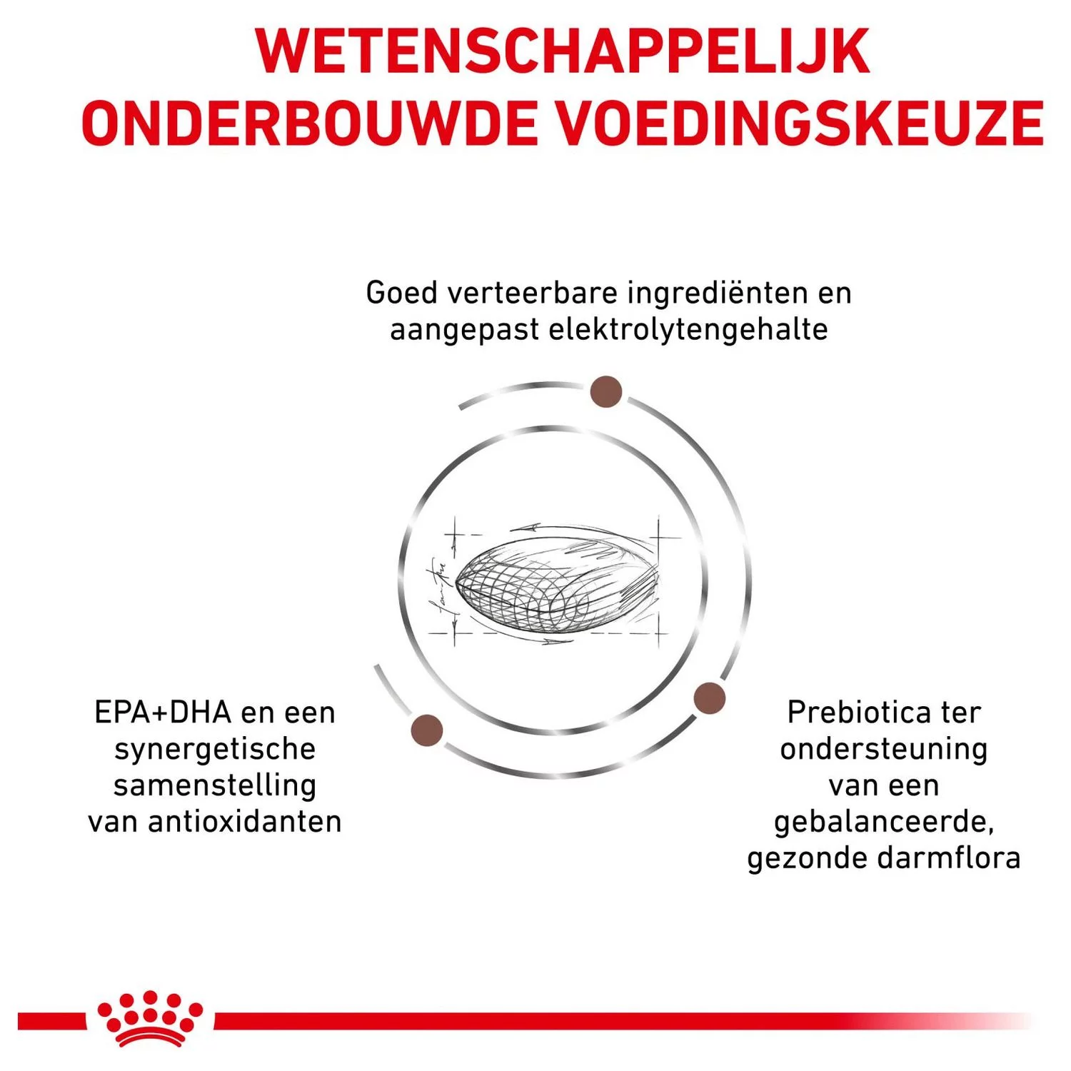 Royal Canin Veterinary Diet Gastro Intestinal Low Fat - Hondenvoer 5 Royal Canin Veterinary Diet Gastro Intestinal Low Fat - Hondenvoer - Afbeelding 5