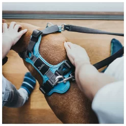 Hunter Harnas Divo Blauw&Grijs - Hondentuig 15 Hunter Harnas Divo Blauw&Grijs - Hondentuig -Dierbenodigdheden-Honden 5367 M 30013772 6