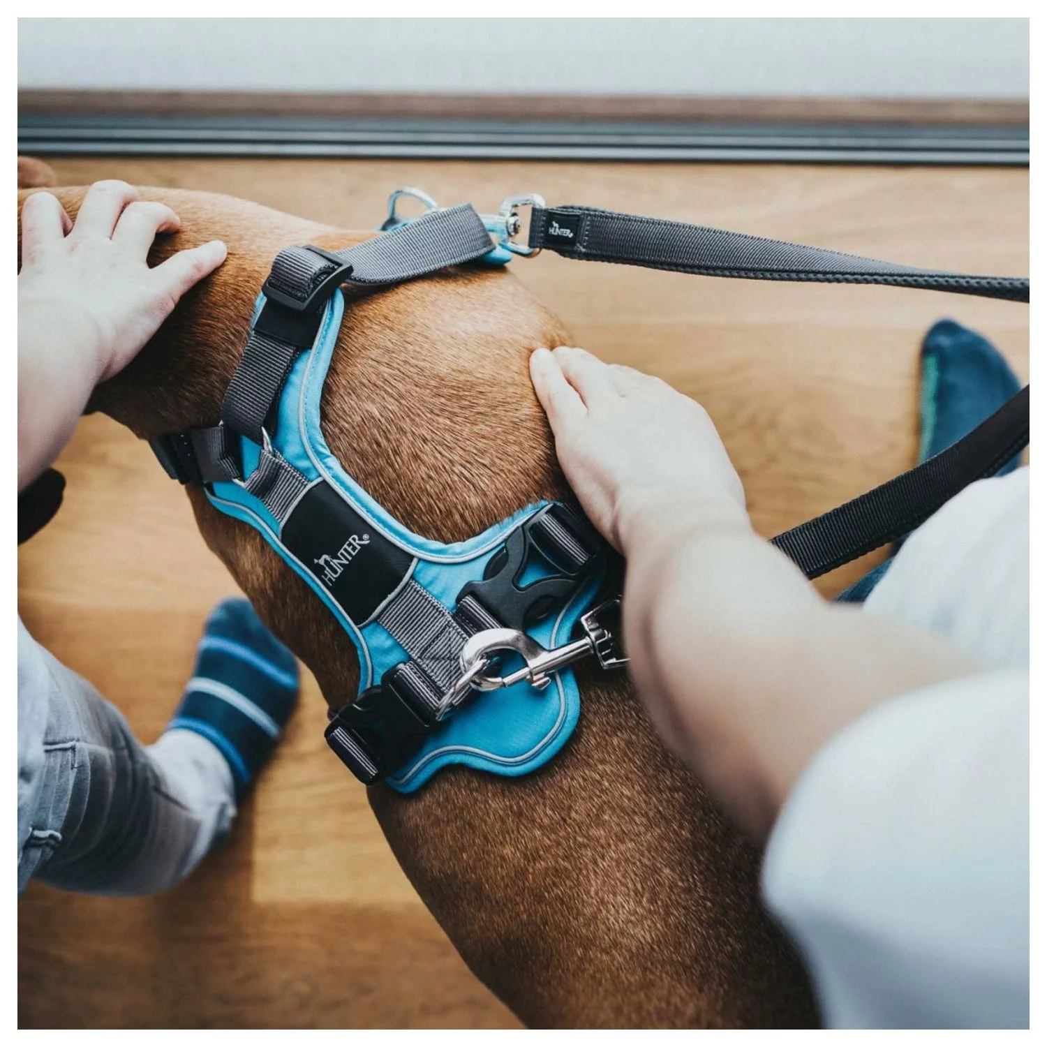 Hunter Harnas Divo Blauw&Grijs - Hondentuig 6 Hunter Harnas Divo Blauw&Grijs - Hondentuig - Afbeelding 6