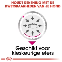 Royal Canin Exigent Natvoer - Hondenvoer - 12x85 G 11 Royal Canin Exigent Natvoer - Hondenvoer - 12x85 G -Dierbenodigdheden-Honden 5415 10044790 4