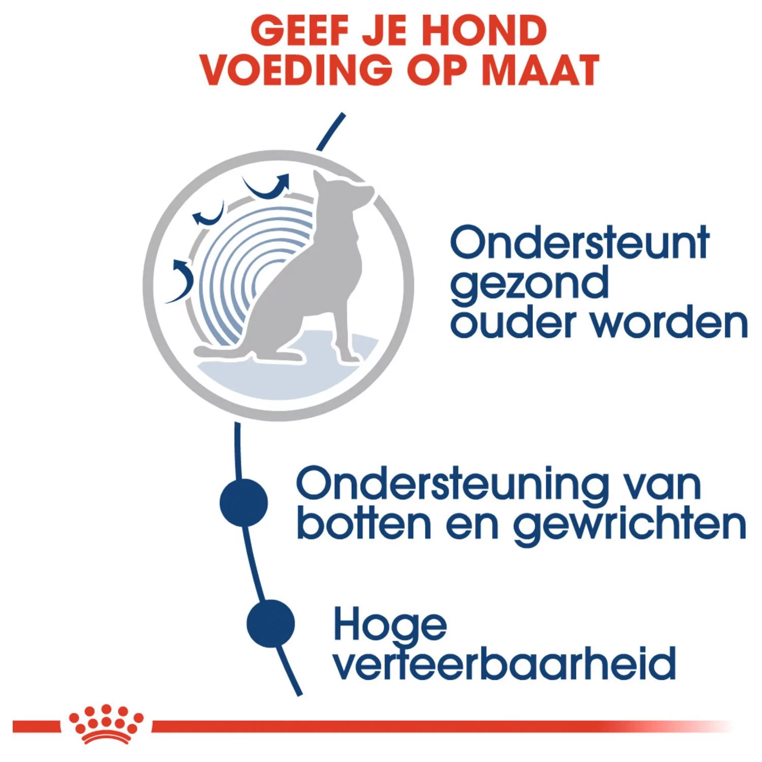 Royal Canin Maxi Ageing 8+ Natvoer - Hondenvoer - 10x140 G 4 Royal Canin Maxi Ageing 8+ Natvoer - Hondenvoer - 10x140 G - Afbeelding 4