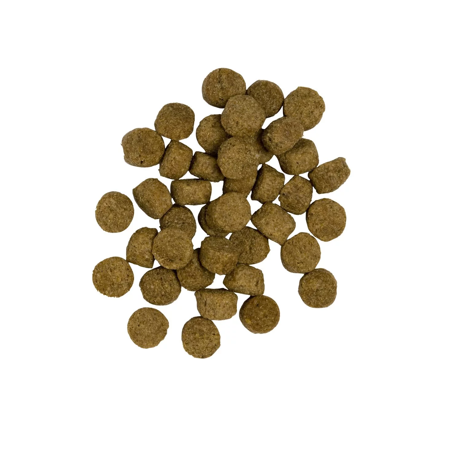 Pets Place Plus Hond Adult Light Kalkoen&Rijst - Hondenvoer 2 Pets Place Plus Hond Adult Light Kalkoen&Rijst - Hondenvoer - Afbeelding 2