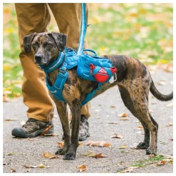 Kurgo Zippy Bowl - Opvouwbare Reisvoerbak - Hondenvoerbak 11 Kurgo Zippy Bowl - Opvouwbare Reisvoerbak - Hondenvoerbak -Dierbenodigdheden-Honden 5524 M 30021319 6