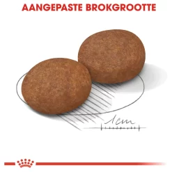 Royal Canin Medium Adult 7+ - Hondenvoer -Dierbenodigdheden-Honden 5573 M 120633 4