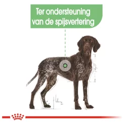 Royal Canin Digestive Care Maxi - Hondenvoer 12 Royal Canin Digestive Care Maxi - Hondenvoer -Dierbenodigdheden-Honden 5678 M 335769 5