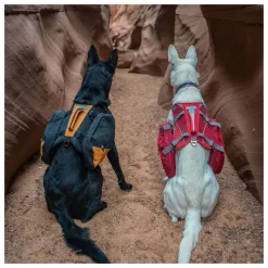 Kurgo Baxter Hondenrugzak - Hondendraagzak - Rood 13.5 Tot 38.5 Kg 16 Kurgo Baxter Hondenrugzak - Hondendraagzak - Rood 13.5 Tot 38.5 Kg -Dierbenodigdheden-Honden 5756 30021356 8