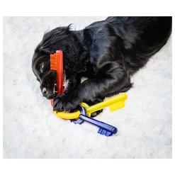 Nylabone Puppy Teething Key Flexible Geel&Blauw&Rood - Hondenspeelgoed 7 Nylabone Puppy Teething Key Flexible Geel&Blauw&Rood - Hondenspeelgoed -Dierbenodigdheden-Honden 5780 M 342811 3