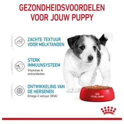 Royal Canin Mini Natvoer - Puppy-Hondenvoer - 12x85 G -Dierbenodigdheden-Honden 5855 10024476 4