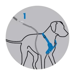 Rogz Utility Stop Pull Tuig Blauw - Hondenharnas -Dierbenodigdheden-Honden 5855 M 30016297 3