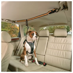 Kurgo Auto Zip Line - Hondenautoaccessoire - Zwart Oranje -Dierbenodigdheden-Honden 5866 30021315 8