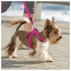 Rogz Utility Fast Fit Tuig Blauw - Hondenharnas -Dierbenodigdheden-Honden 6016 M 10043472 3