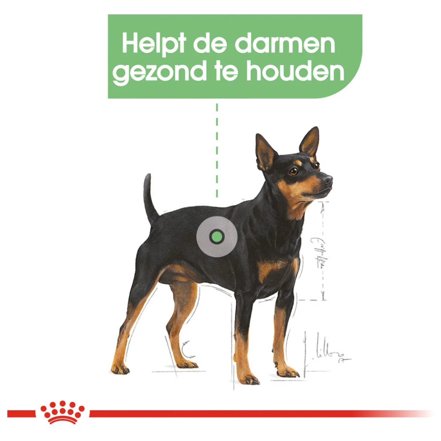 Royal Canin Digestive Care Natvoer - Hondenvoer - 12x85 G 2 Royal Canin Digestive Care Natvoer - Hondenvoer - 12x85 G - Afbeelding 2