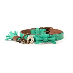 Dwam Halsband Boomer Turquoise - Hondenhalsband