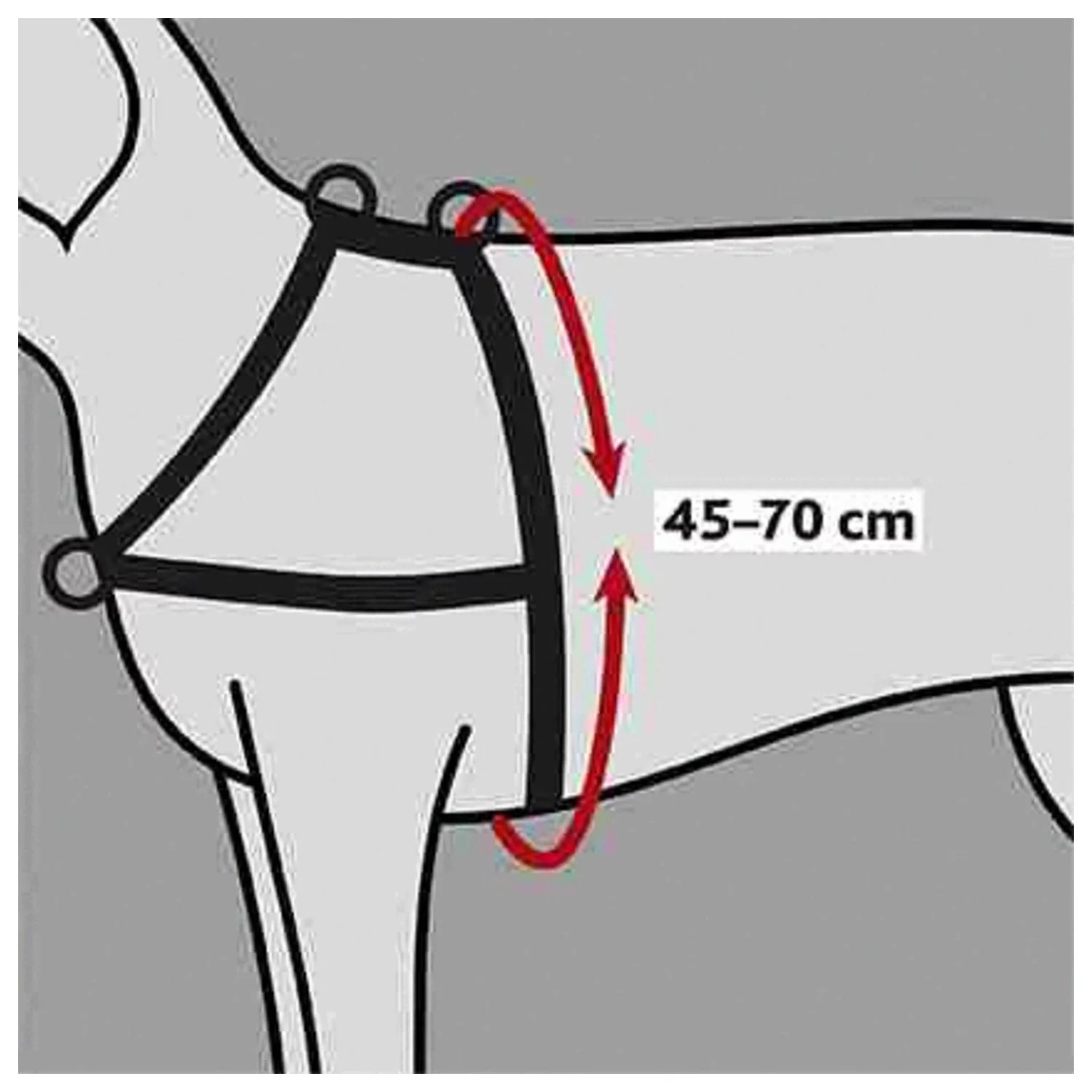 Trixie Lead'N'Walk Soft Tuig Zwart - Hondenharnas 3 Trixie Lead'N'Walk Soft Tuig Zwart - Hondenharnas - Afbeelding 3