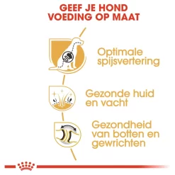 Royal Canin German Shepherd Adult - Hondenvoer -Dierbenodigdheden-Honden 6150 M 540612 4