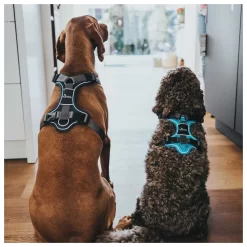 Hunter Harnas Divo Blauw&Grijs - Hondentuig 17 Hunter Harnas Divo Blauw&Grijs - Hondentuig -Dierbenodigdheden-Honden 6258 M 30013772 8