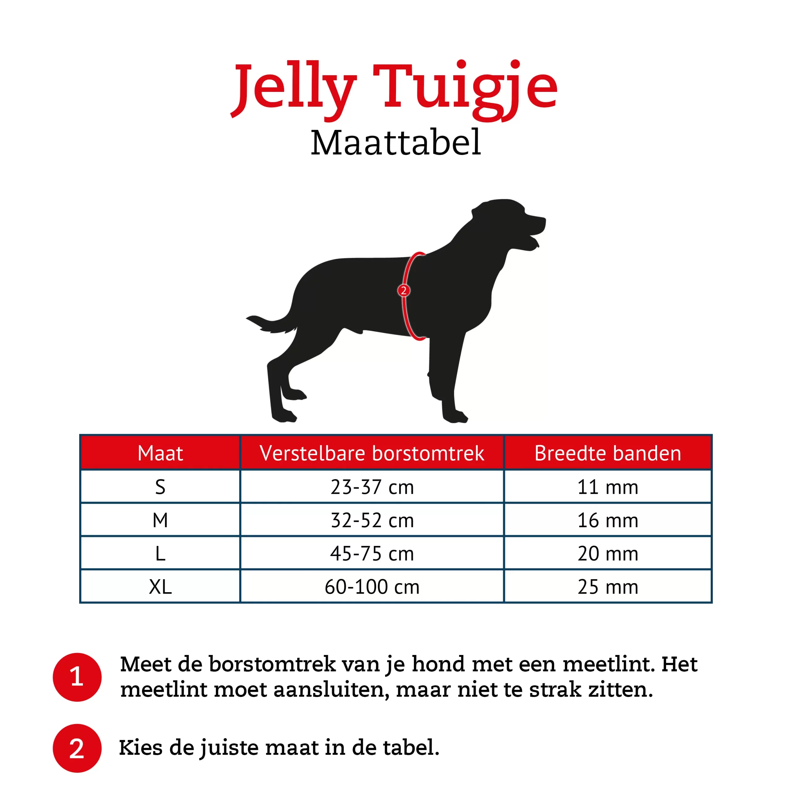 Rogz Jelly Tuigje Island - Hondenharnas - Coral Zilver Small 2 Rogz Jelly Tuigje Island - Hondenharnas - Coral Zilver Small - Afbeelding 2