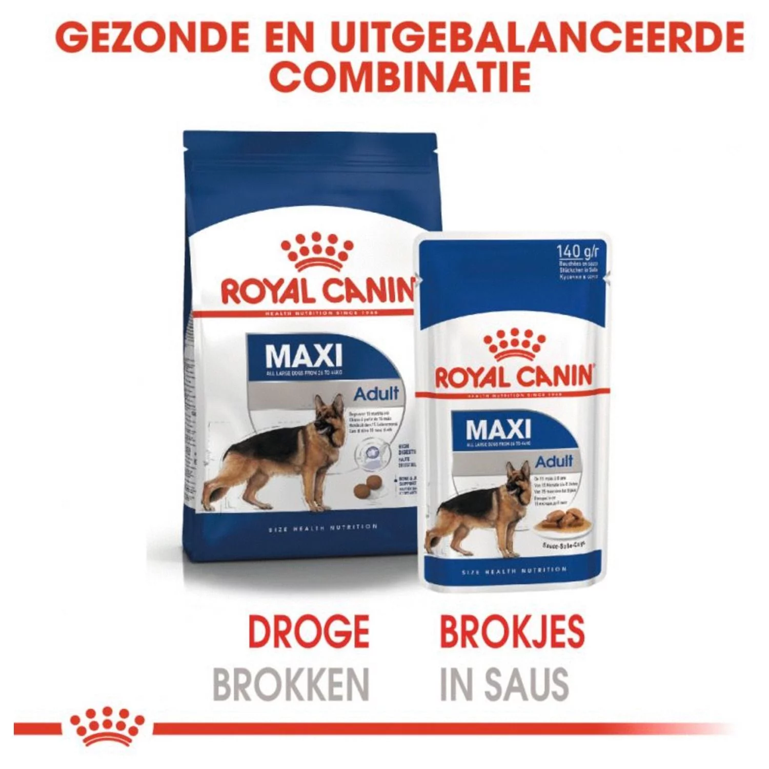 Royal Canin Maxi Adult Natvoer - Hondenvoer - 10x140 G 6 Royal Canin Maxi Adult Natvoer - Hondenvoer - 10x140 G - Afbeelding 6