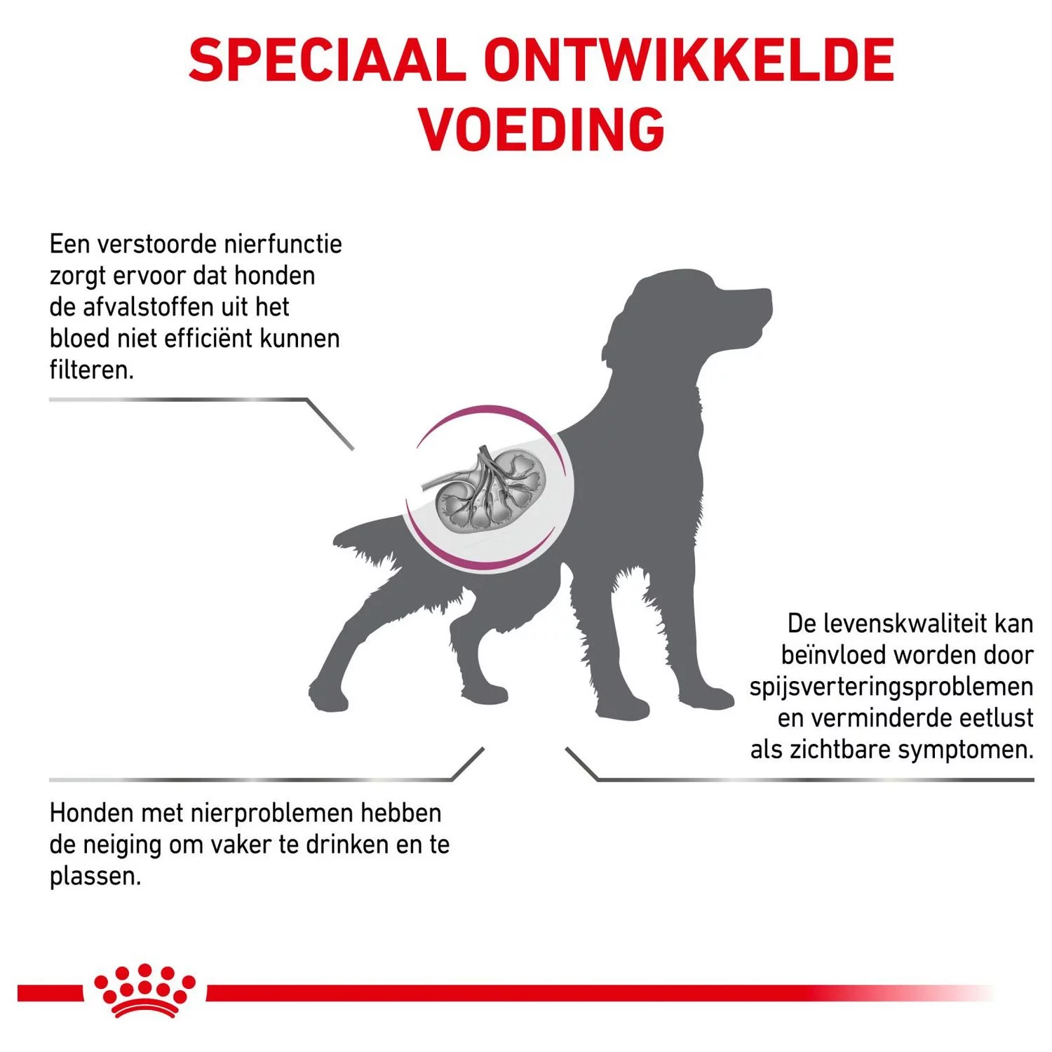 Royal Canin Veterinary Diet Dog Renal - Hondenvoer - 14 Kg 4 Royal Canin Veterinary Diet Dog Renal - Hondenvoer - 14 Kg - Afbeelding 4