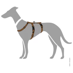 Hunter Veiligheidstuig Vario Rapid Bruin - Hondenharnas -Dierbenodigdheden-Honden 6391 M 30013760 4