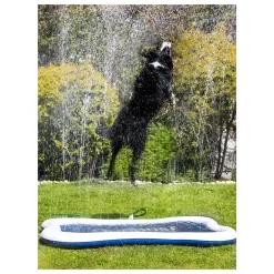 Quapas! Dog Sprinkle Mat - Watermat - 140x90 Cm Blauw Wit 8 Quapas! Dog Sprinkle Mat - Watermat - 140x90 Cm Blauw Wit -Dierbenodigdheden-Honden 6436 30018625 3